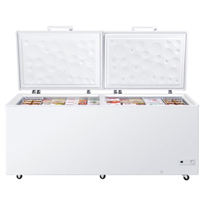 BC/BD-626HSQ single-temperature freezing and refrigeration top-door commercial large-capacity freezer Application Scenario