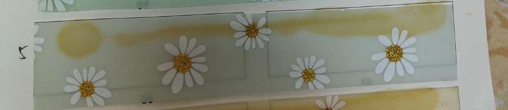 0.4TPu小雏菊5＃产品图