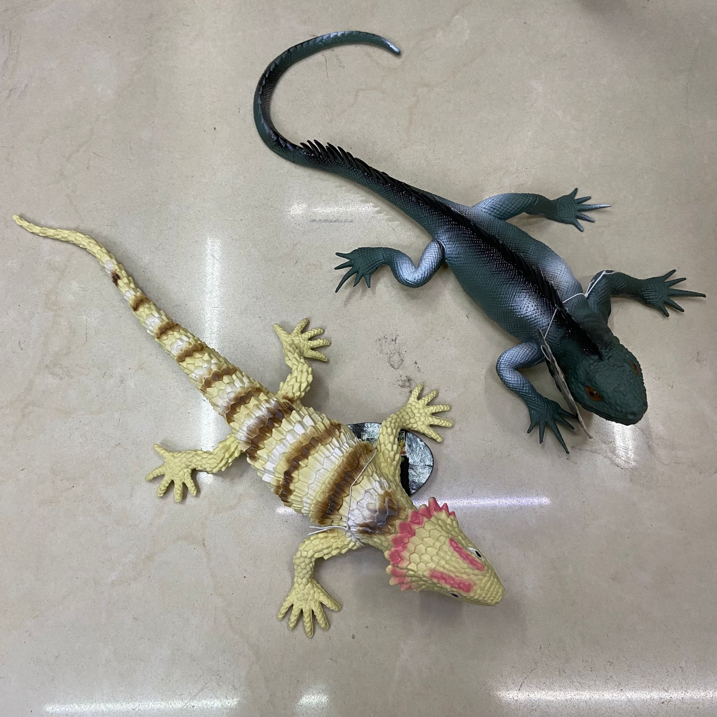 仿真动物（蜥蜴）/仿真昆虫/仿真动物细节图