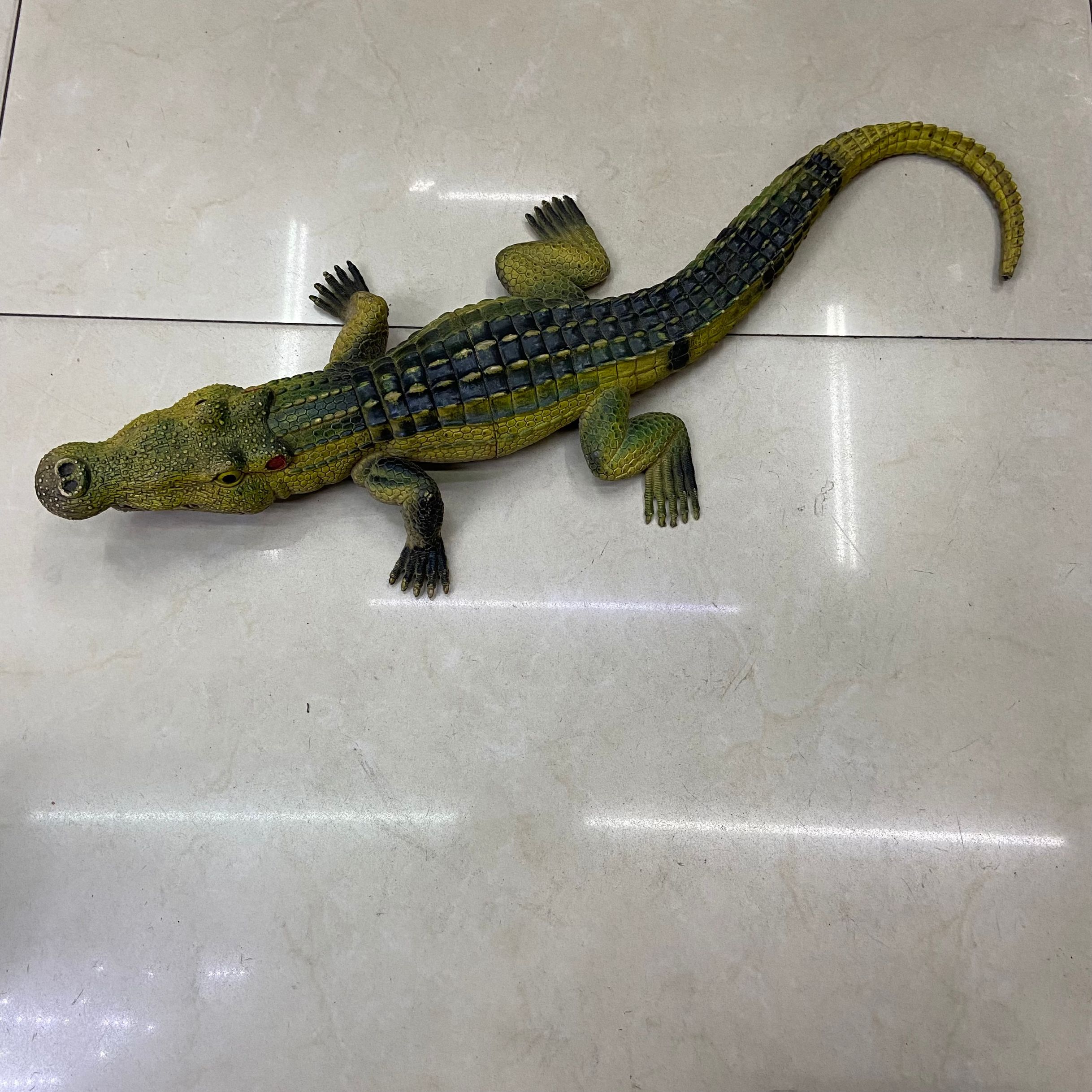 仿真动物（大鳄鱼）/仿真动物/仿真鳄鱼细节图