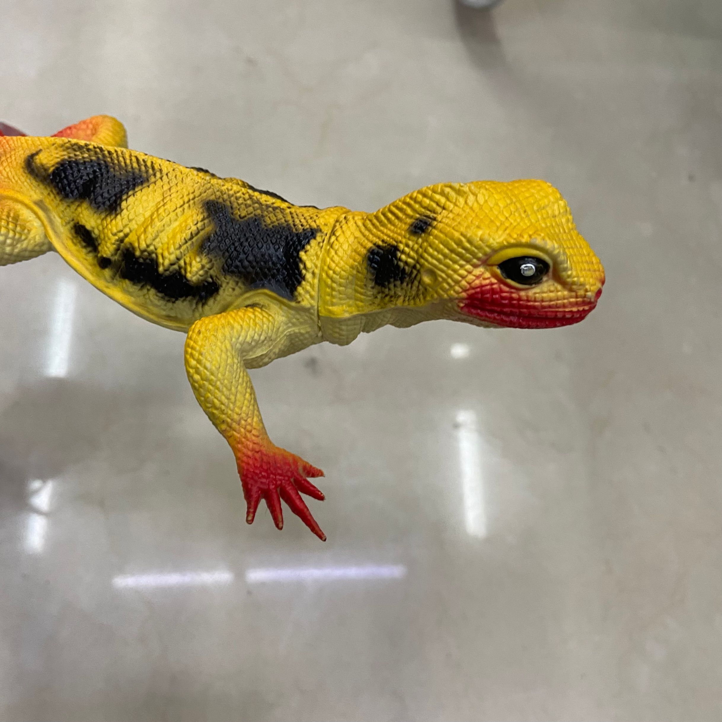 仿真动物（蜥蜴）/仿真昆虫/仿真动物白底实物图