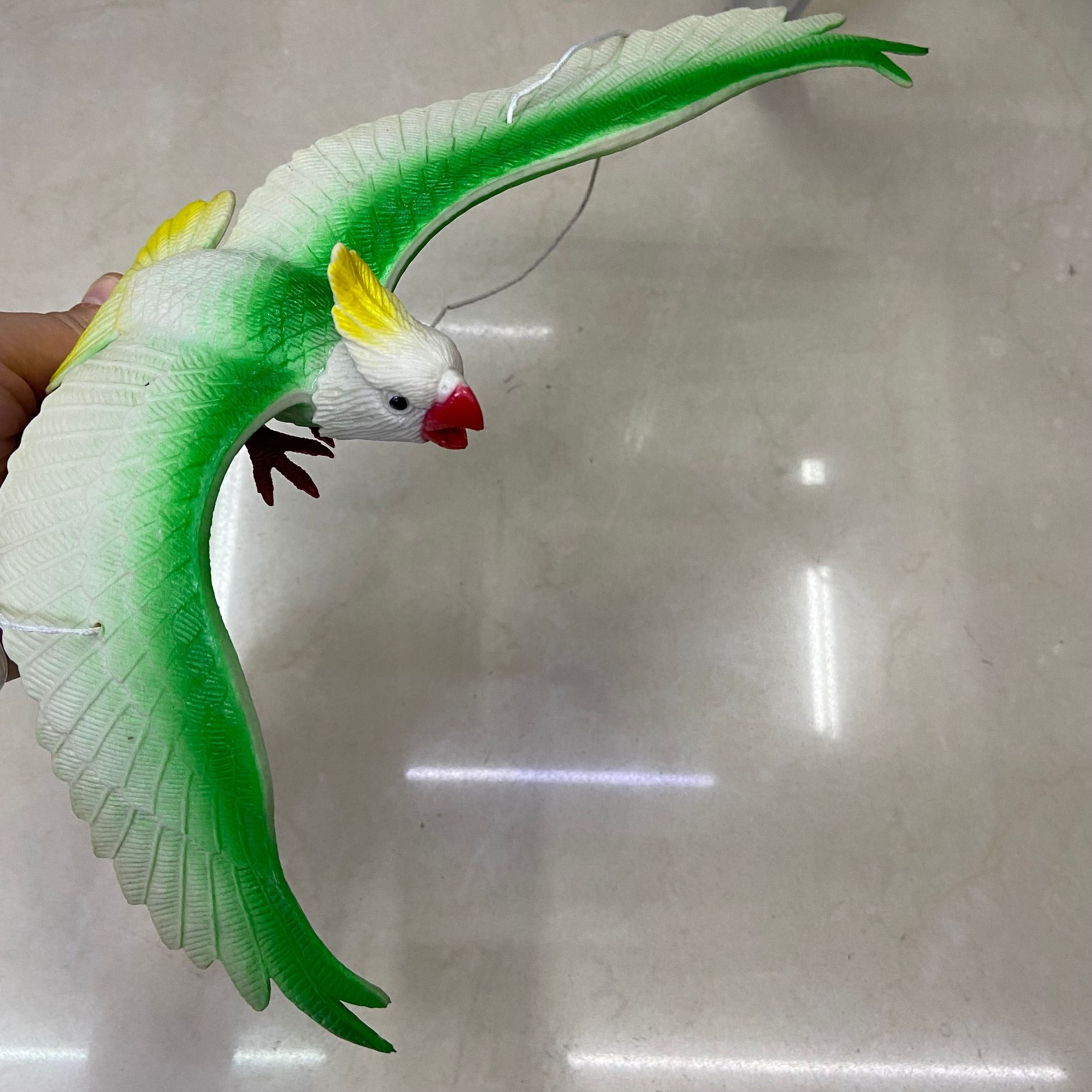 动植物/仿真模型实物图