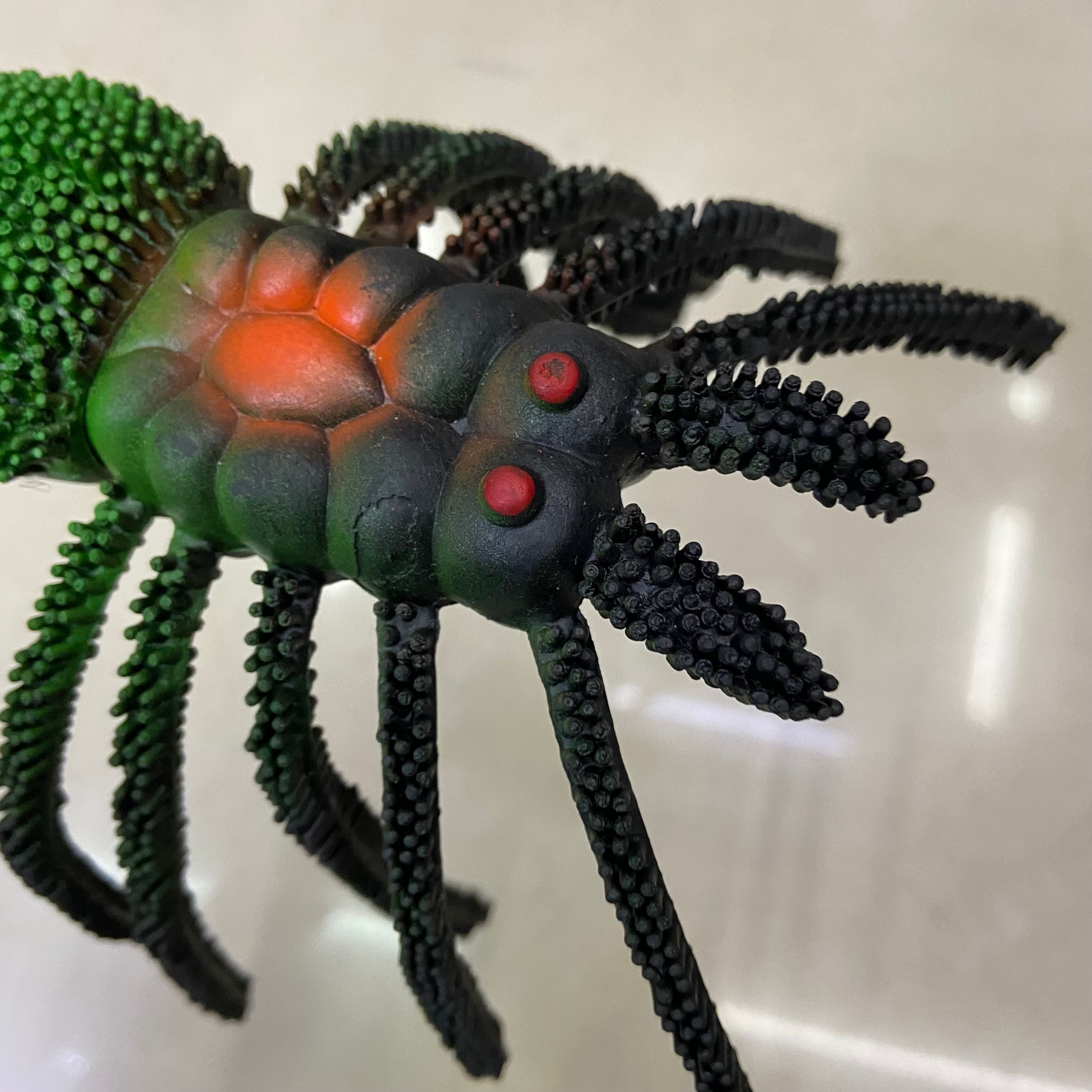 动植物/仿真模型实物图