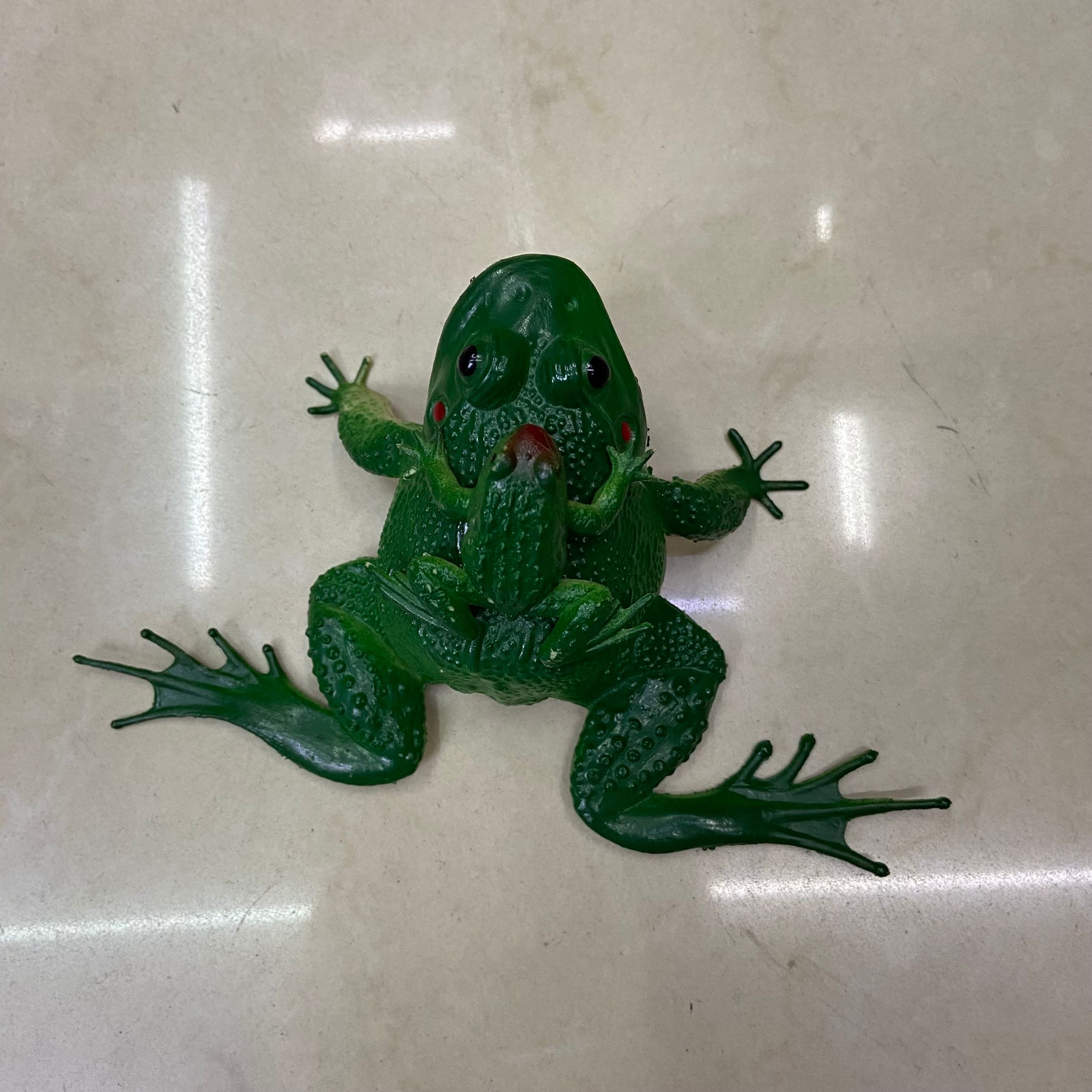 仿真手捏BB叫母子青蛙玩具仿真動物（青蛙）  仿真动物  仿真青蛙 欧胤玩具 PVC  13