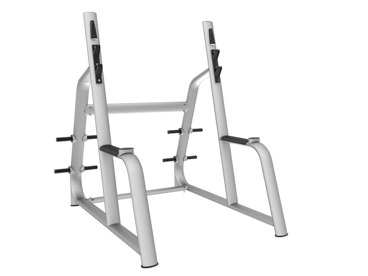Factory direct sales Tylenol Gym heartthrob TZ-6051 squat rack Yiwu wholesale