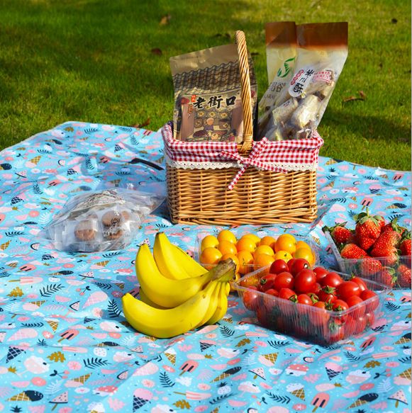 Portable picnic blanket moisture-proof pad details Picture
