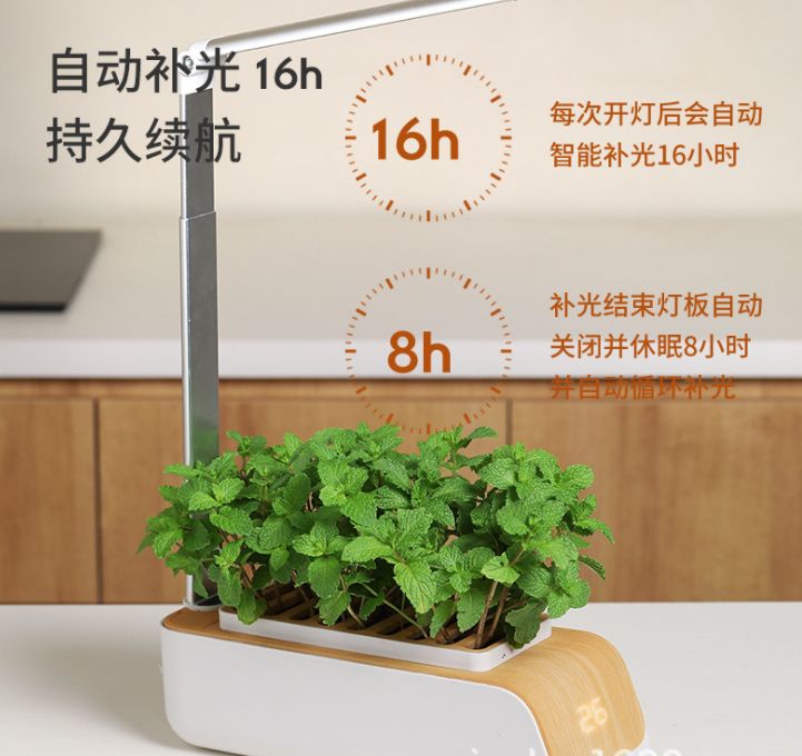仿生灯光花盆产品图