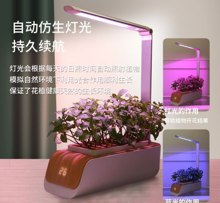 水培植物瓶、生态瓶实物图