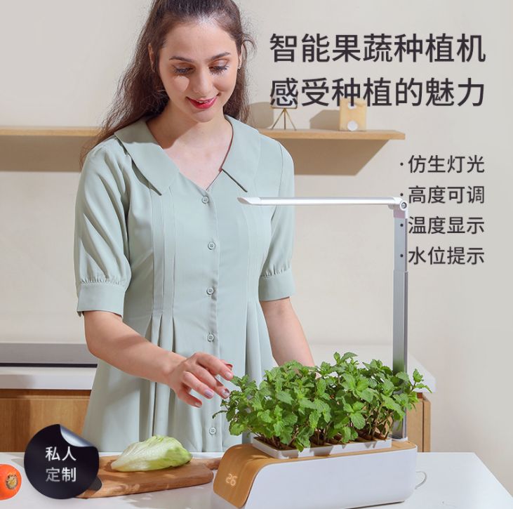 仿生灯光花盆白底实物图