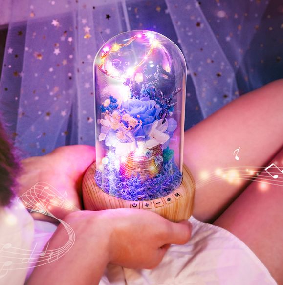 Wishing Light Bottle Bluetooth Audio Lamp Specification image
