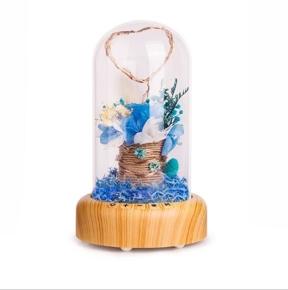 Wishing Light Bottle Bluetooth Audio Lamp Item Picture