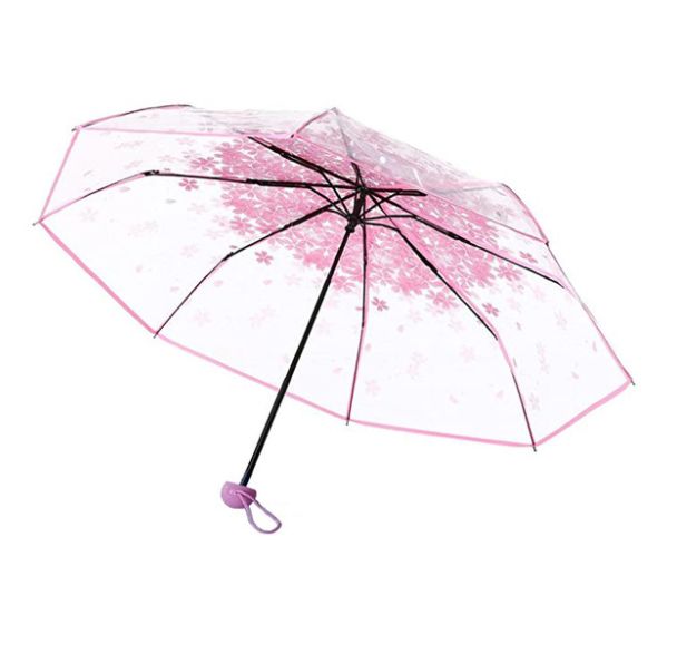 网红新款透明伞个性学生雨白底实物图