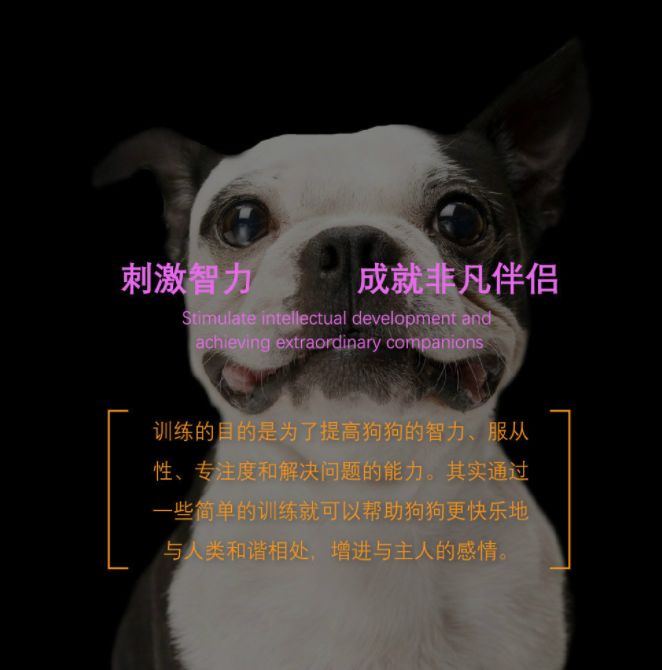 Pet toy mobile treasure box Application Scenario
