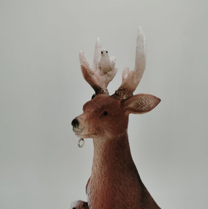 鹿兔刺猬狼装产品图