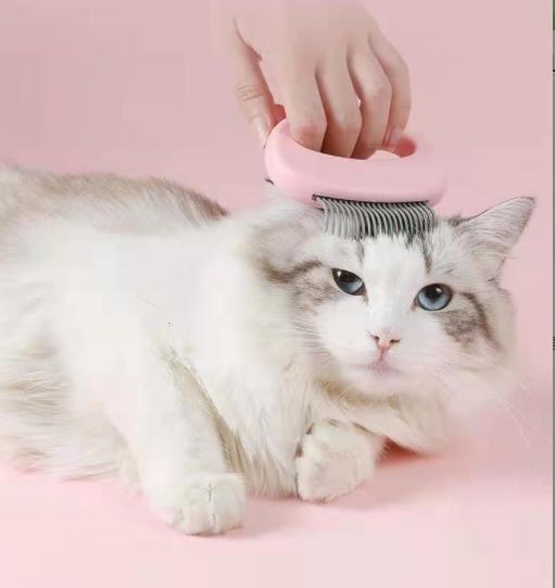 猫猫清洁美容工具实物图