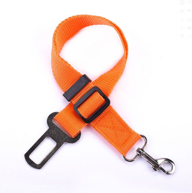 Export of retractable dog straps for vehicles Application Scenario