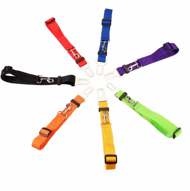 Export of retractable dog straps for vehicles details Picture