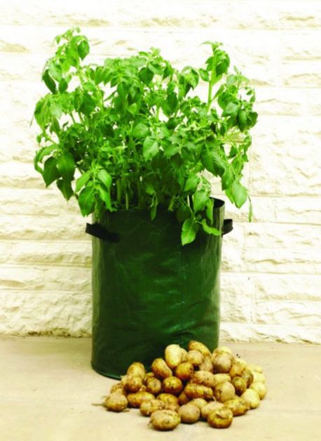 家庭阳台花园土豆种植袋外贸详情图1