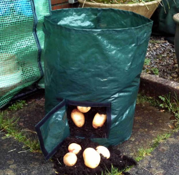 家庭阳台花园土豆种植袋外贸详情图3