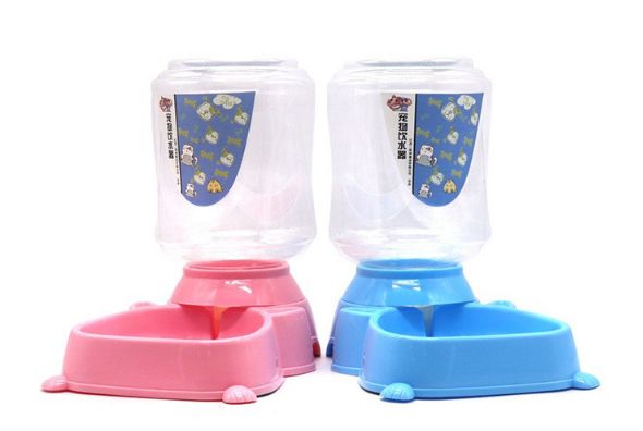 Pet feeder foreign trade
