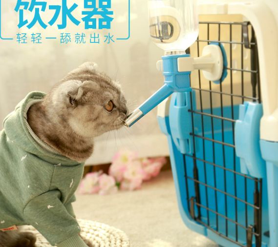 Export of hanging ball pet water bottles details Picture