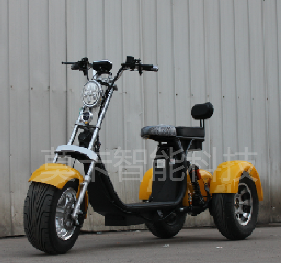 Direct sales of the 10-inch X11 detachable three-wheeled electric Harley