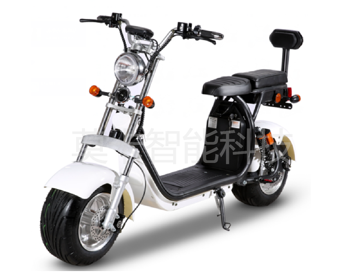 Factory direct sales of the new X11 electric Harley with chassis
