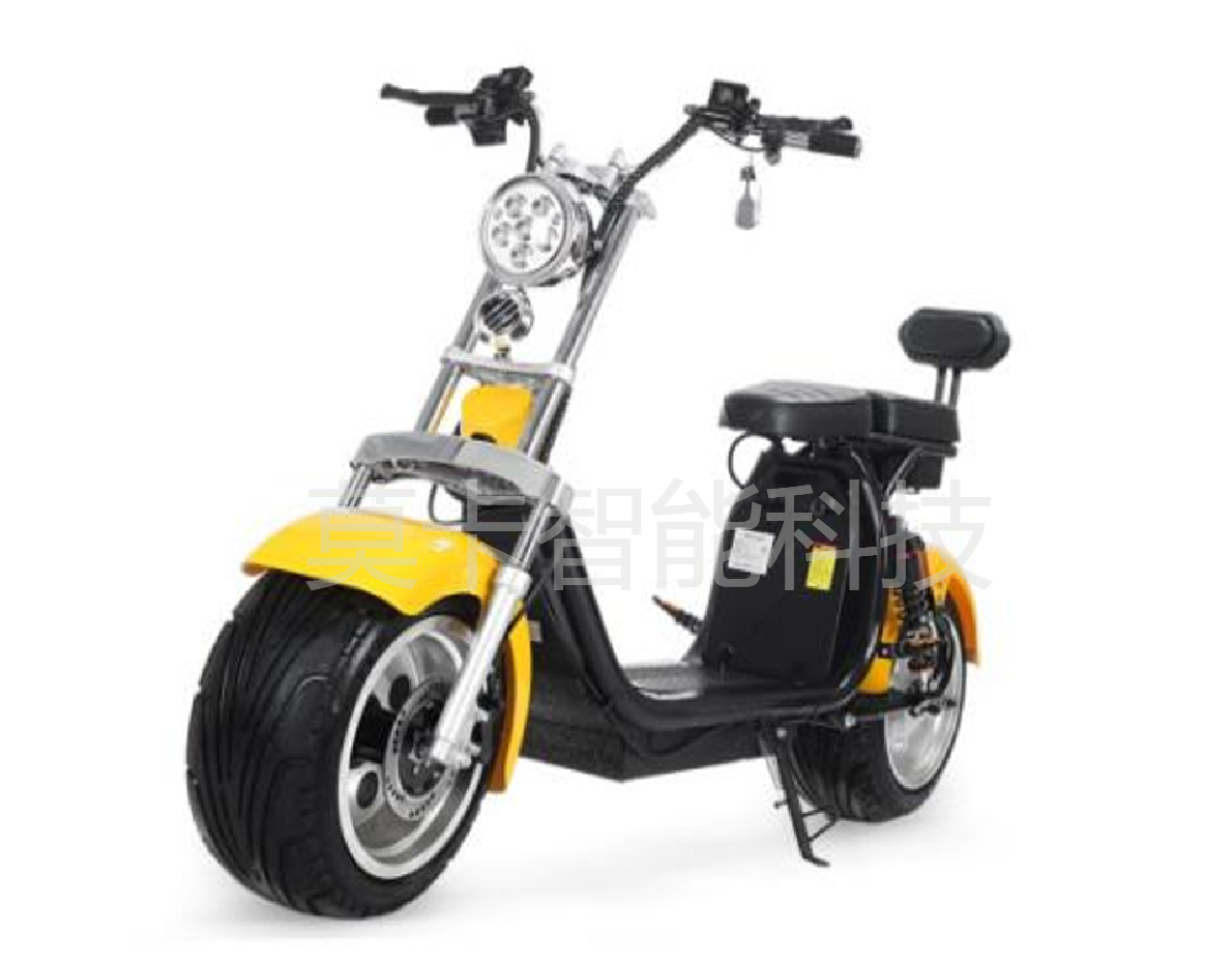 Factory direct sales X12 electric Harley
