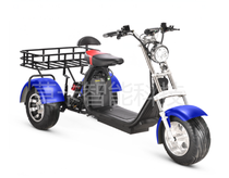 Manufacturers direct sales X10 parallel bars large basket electric Harley