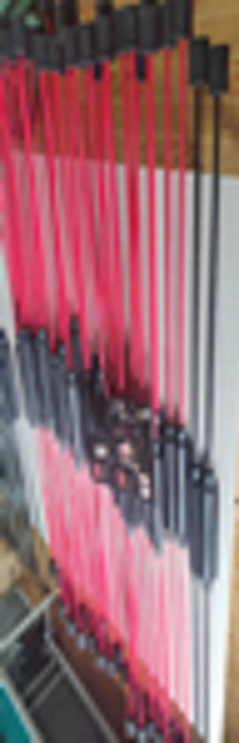 Filis stick pic 1