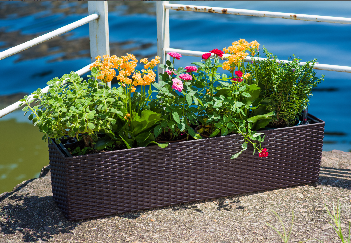 tb-01 Color rattan rectangular flower pot full figure