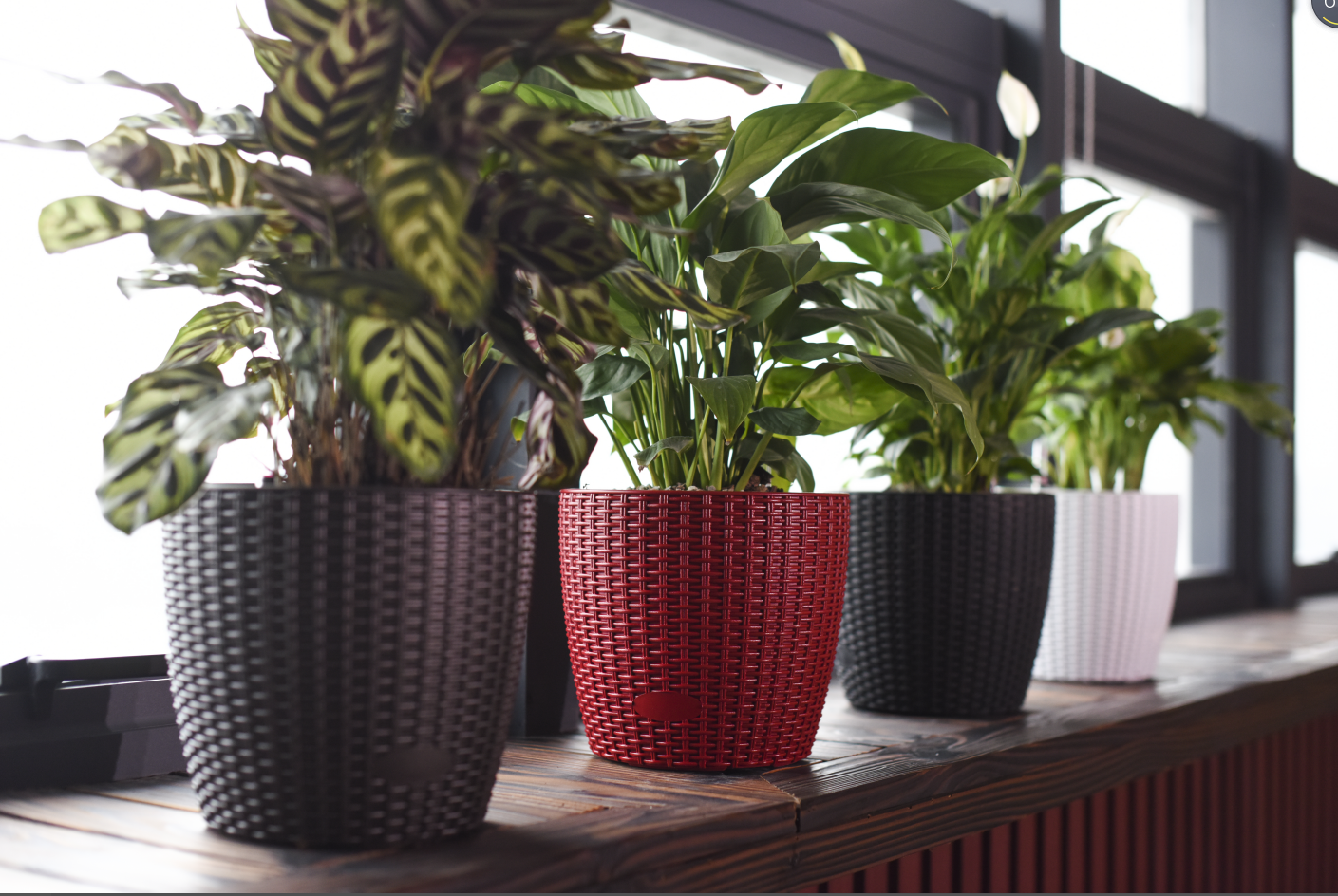 tb-3101 rattan colored flower pot full figure
