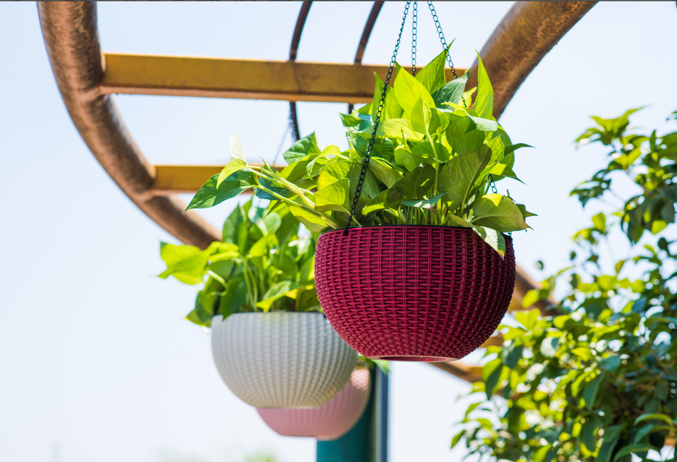 tb-07 color rattan hanging flower pot full figure