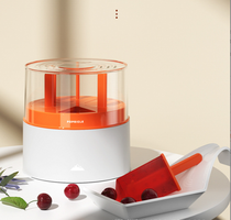 Homemade ice cream mold foreign trade