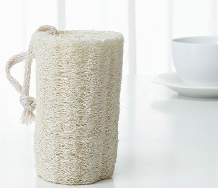 Roc Loofah cleaner 9050