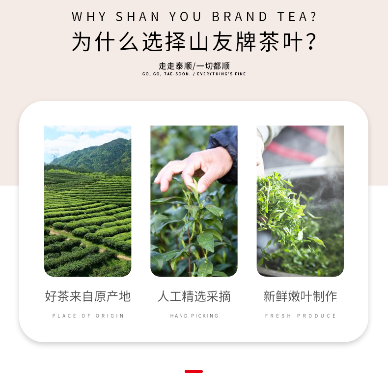 浙江山友特产山河如画礼盒装鲜茶叶绿茶详情2