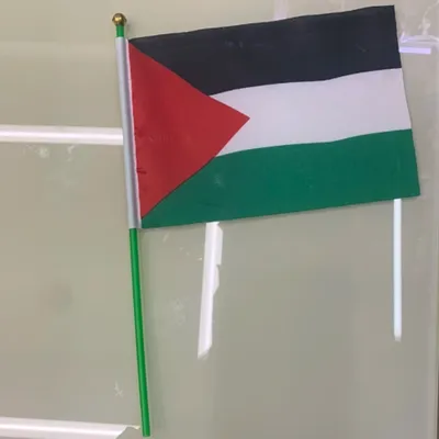Flag Of Pakistan Flag Of Pakistan Flag Of Pakistan Flag Of Pakistan Flag