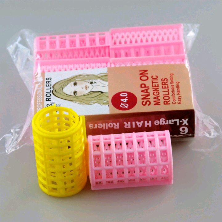 Bag 4.0 Six Pack Hair Curlers Bangs Clip Wavy pear-flower plastic hair curlers Hair curlers
