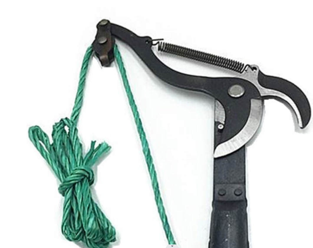 High-branch shear High-branch shear fruit shear