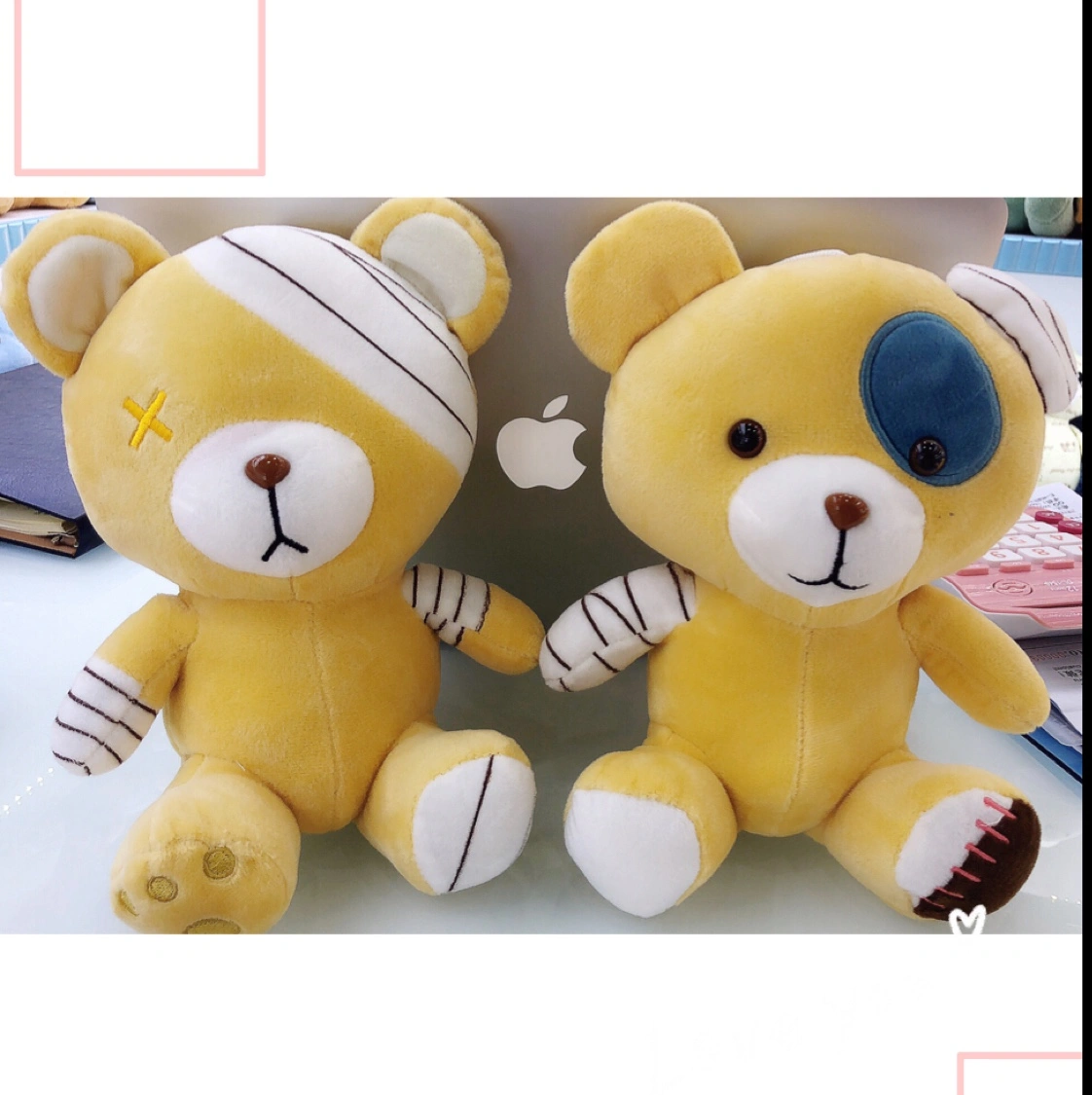 Wounded Bear details Picture