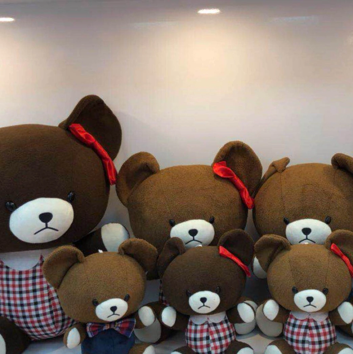 Checkered Bear Application Scenario
