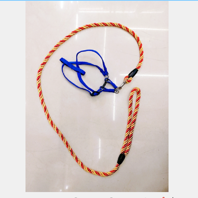 宠物0.6cm粗宠物牵引绳+胸背带  厂家直销