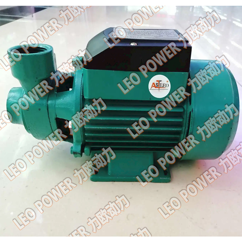 [QB80/60 Water pump] Zhejiang Liou Power Co., LTD