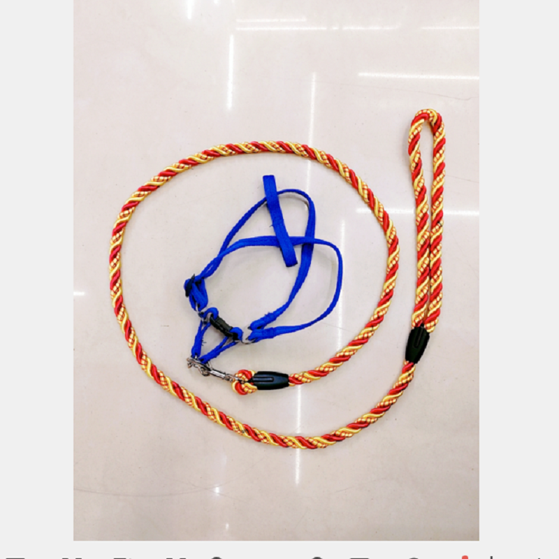 Direct sales from the manufacturer of 0.6cm thick pet leashes and chest straps details Picture