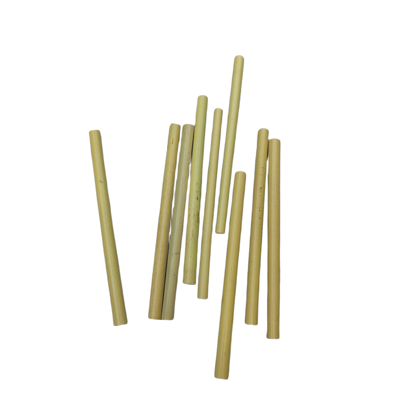 مصاصة الخيزران الطبيعية صديقة للبيئة الخيزران الخيزران الخيزران الخيزران الخيزران الخيزران الأصلي الخيزران الخيزران الأخضر SunnyBamboo detail image 8
