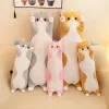 50cm cat cartoon plush pillow, large cute long cat plush pillow, birthday gift, sleeping pillow Specification image