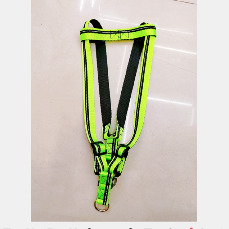 حبل مقبض عاكس للضوء مقابض مطاطية يبلغ عرضها 2.5CM + حبل مقبض عاكس للضوء، للحيوانات الأليفة المتوسطة الحجم Application Scenario