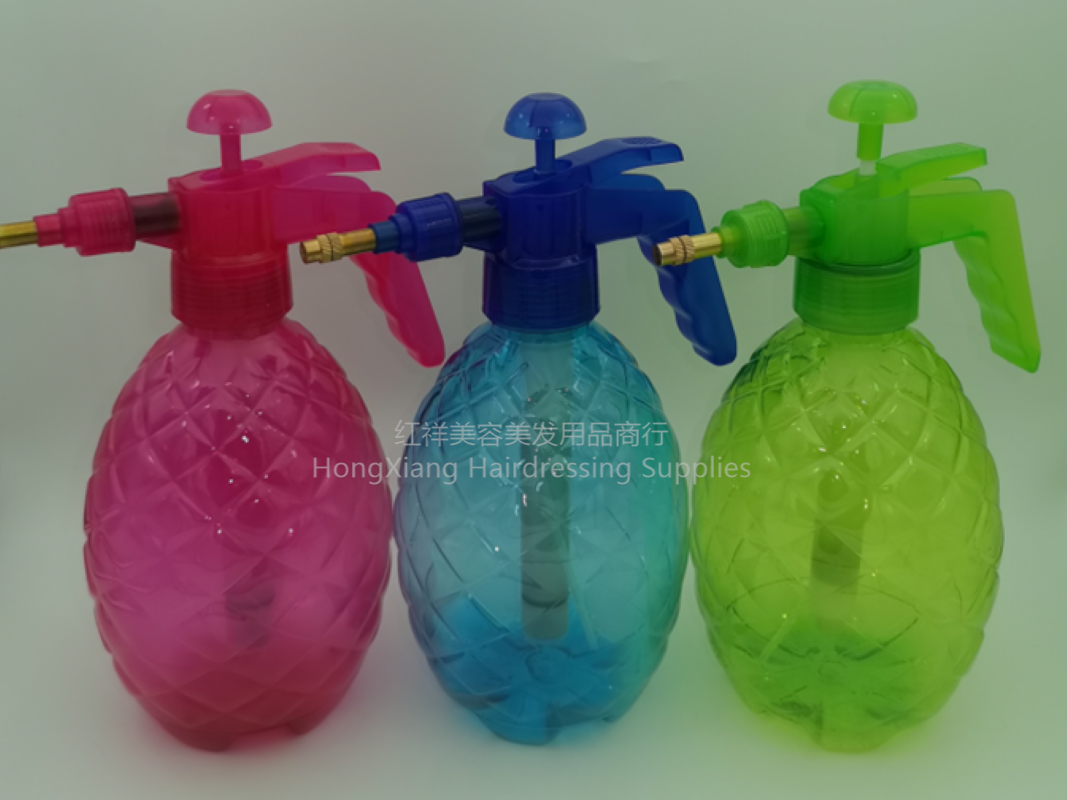 回答：透明喷壶/压力家庭/园艺通用/淋花浇水/小型家用/种花工具/气压式产品图