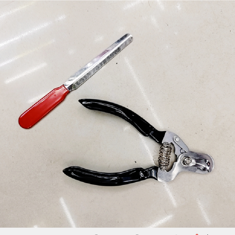 宠物清洁美容工具 宠物用品指甲钳+锉刀 狗狗猫咪指甲修理剪详情2