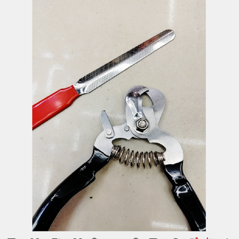 狗狗清洁美容工具实物图